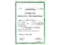 Diploma Idraulico Gasista Lattoniere 