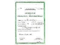Diploma Idraulico Gasista Lattoniere