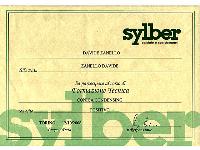 Sylber - Corso Tecnico Conica Condensing